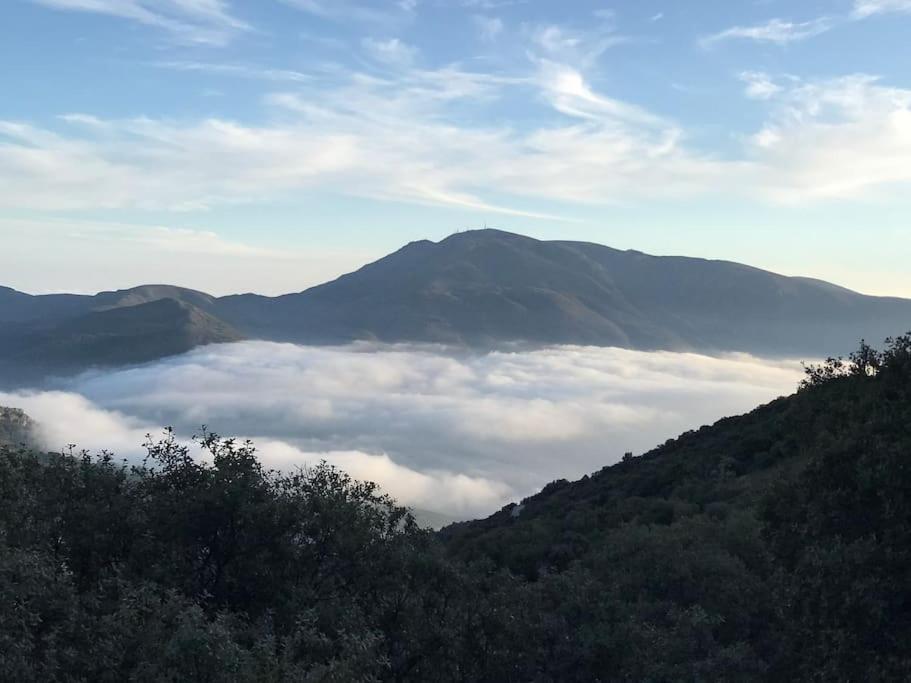 La Casa Rural De Paco Y Ana Pitres Εξωτερικό φωτογραφία