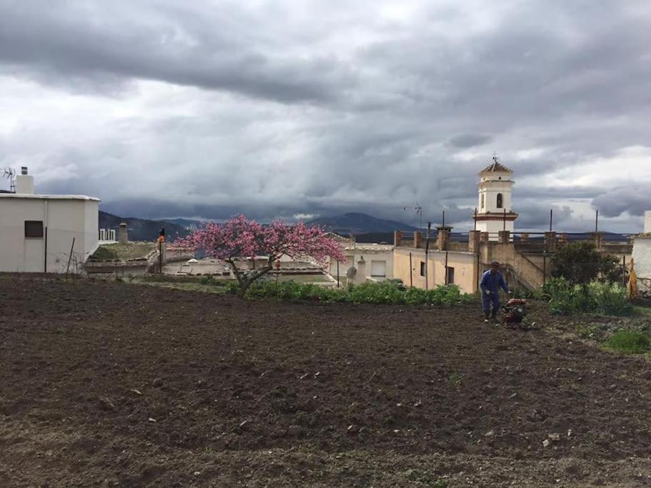 La Casa Rural De Paco Y Ana Pitres Εξωτερικό φωτογραφία