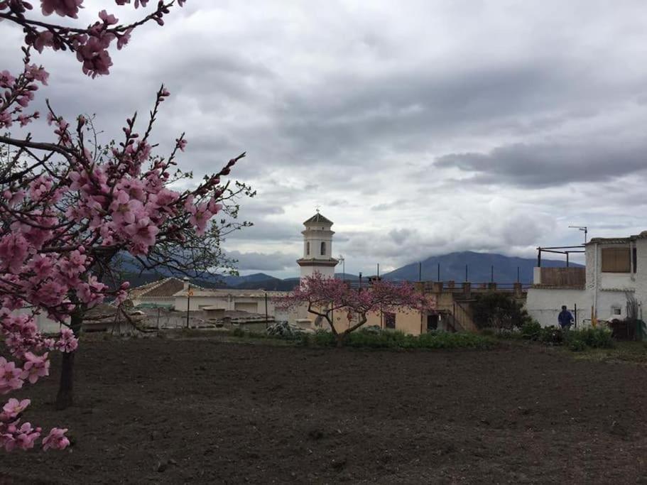 La Casa Rural De Paco Y Ana Pitres Εξωτερικό φωτογραφία