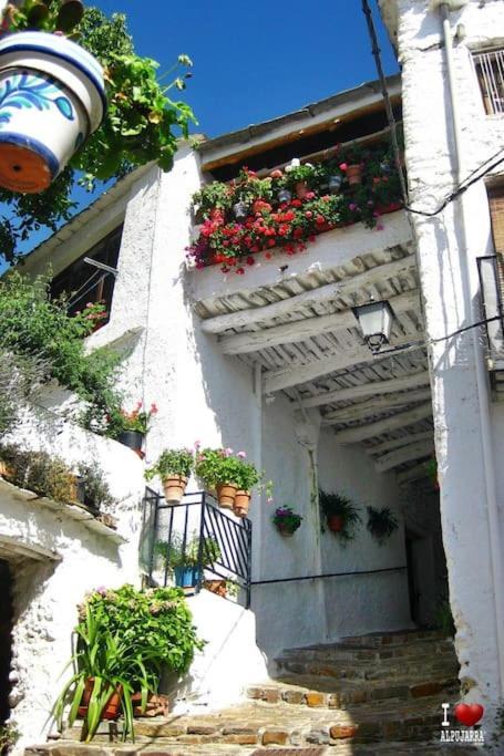 La Casa Rural De Paco Y Ana Pitres Εξωτερικό φωτογραφία