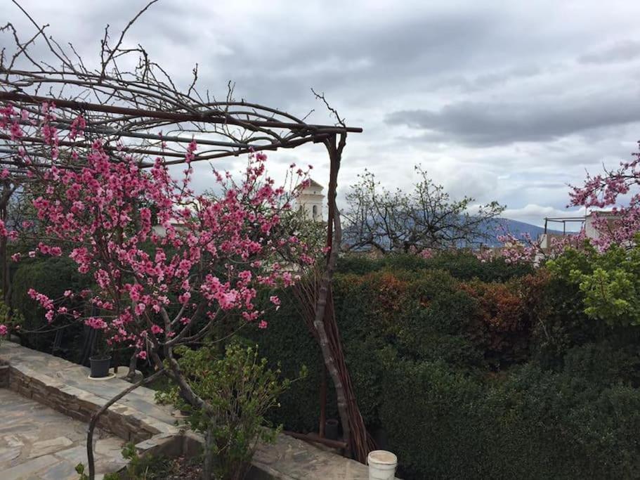 La Casa Rural De Paco Y Ana Pitres Εξωτερικό φωτογραφία