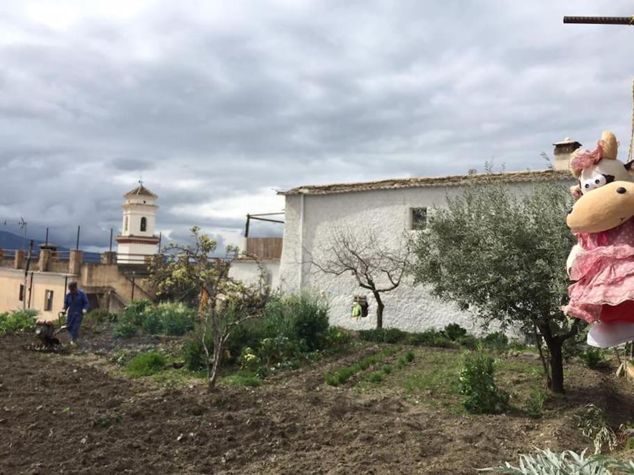 La Casa Rural De Paco Y Ana Pitres Εξωτερικό φωτογραφία