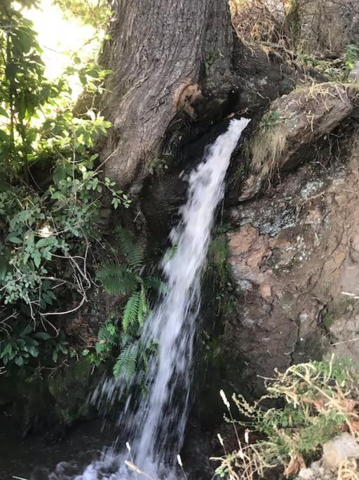 La Casa Rural De Paco Y Ana Pitres Εξωτερικό φωτογραφία
