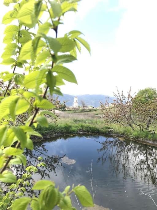 La Casa Rural De Paco Y Ana Pitres Εξωτερικό φωτογραφία