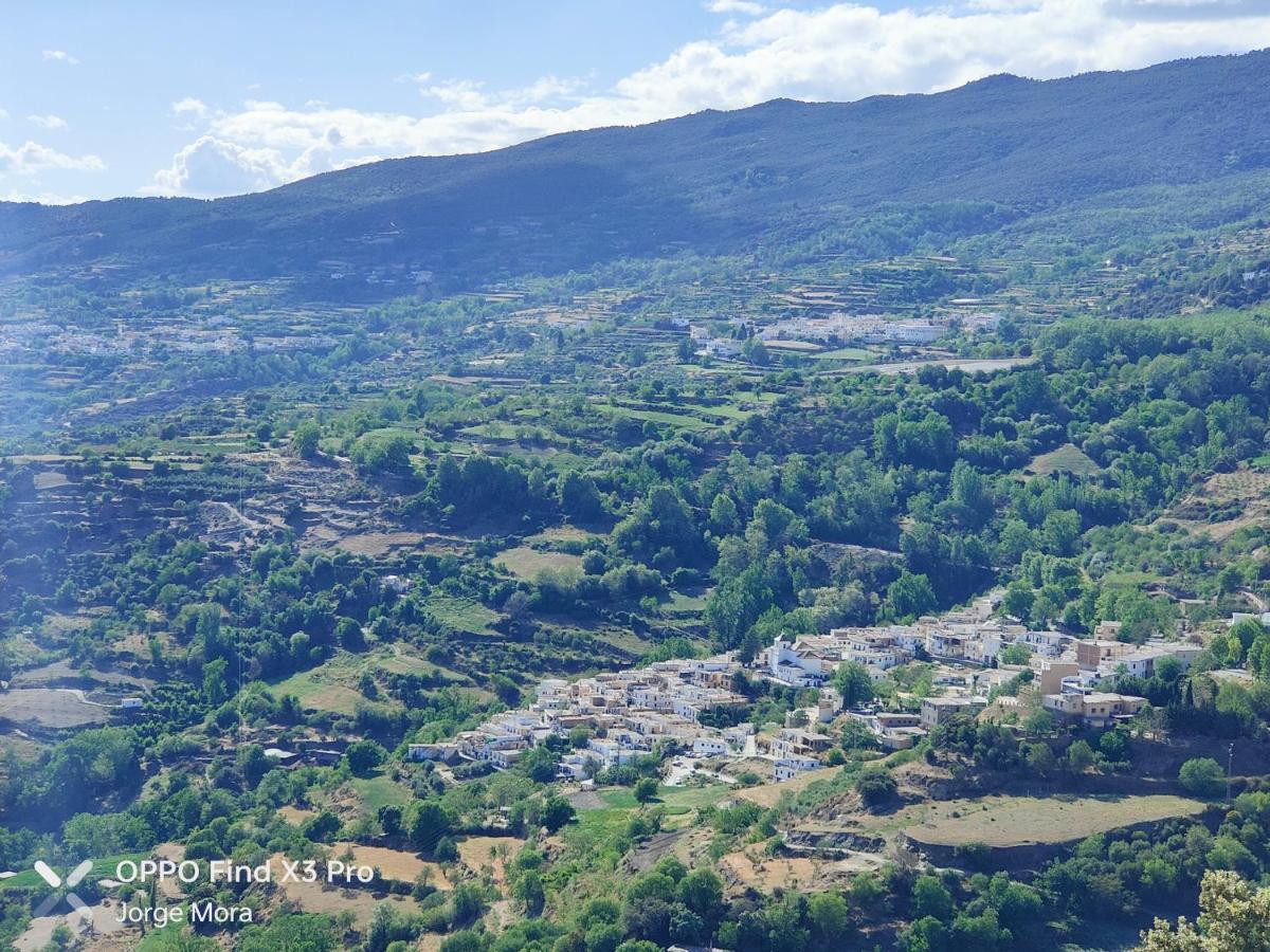 La Casa Rural De Paco Y Ana Pitres Εξωτερικό φωτογραφία